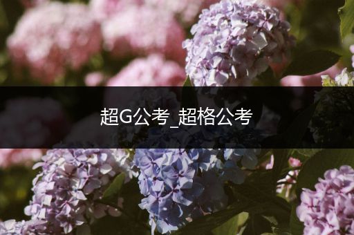超G公考_超格公考