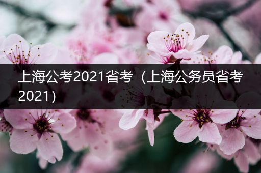 上海公考2021省考（上海公务员省考2021）