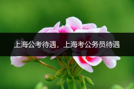 上海公考待遇，上海考公务员待遇