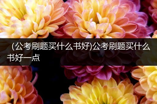 （公考刷题买什么书好)公考刷题买什么书好一点