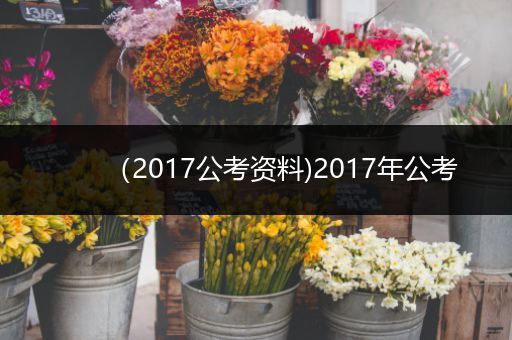 （2017公考资料)2017年公考