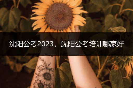 沈阳公考2023，沈阳公考培训哪家好