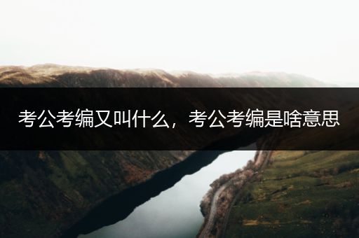 考公考编又叫什么，考公考编是啥意思