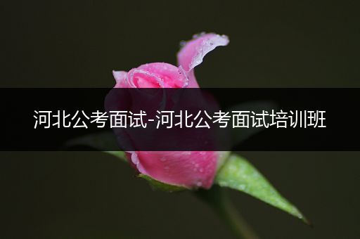 河北公考面试-河北公考面试培训班