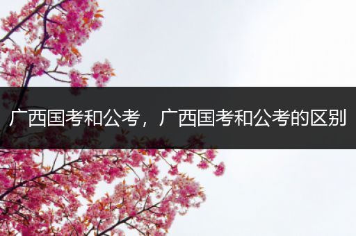 广西国考和公考，广西国考和公考的区别