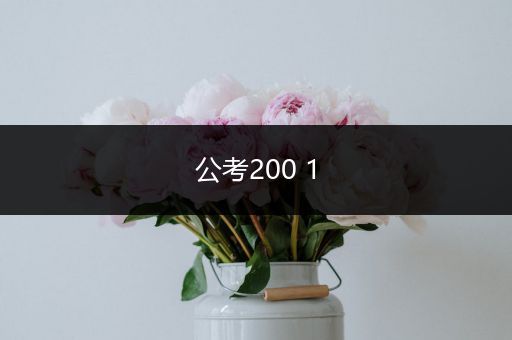 公考200 1