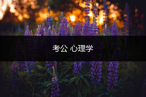 考公 心理学