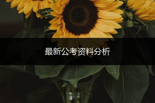 最新公考资料分析