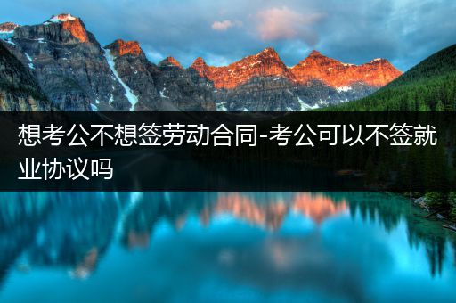 想考公不想签劳动合同-考公可以不签就业协议吗