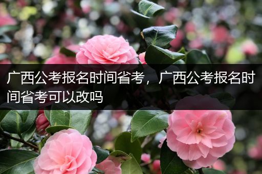 广西公考报名时间省考，广西公考报名时间省考可以改吗