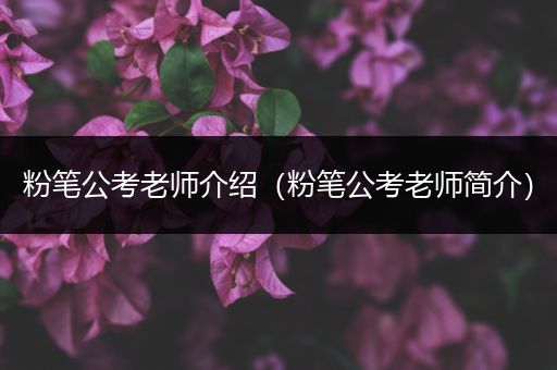 粉笔公考老师介绍（粉笔公考老师简介）