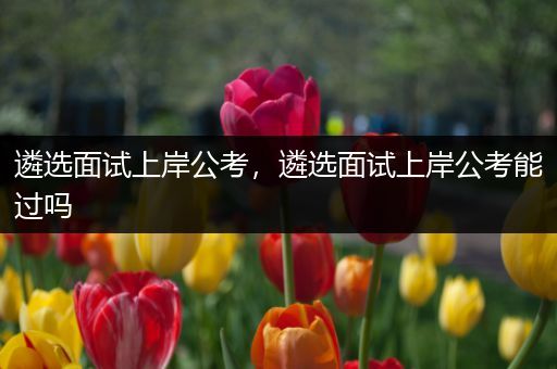 遴选面试上岸公考，遴选面试上岸公考能过吗