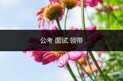 公考 面试 领带