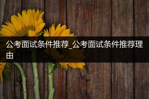 公考面试条件推荐_公考面试条件推荐理由