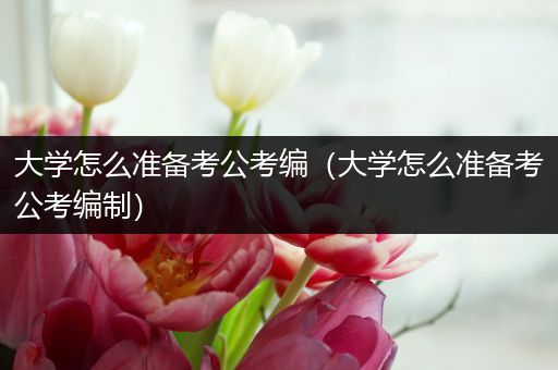 大学怎么准备考公考编（大学怎么准备考公考编制）