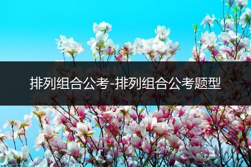 排列组合公考-排列组合公考题型