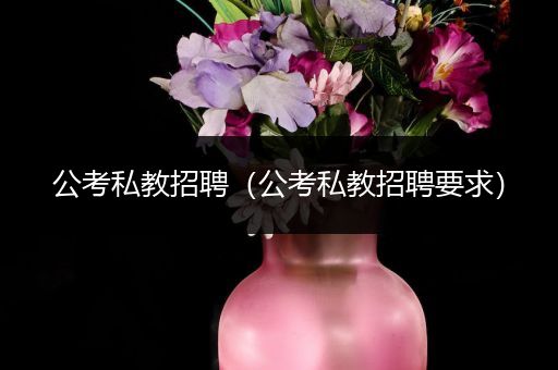公考私教招聘（公考私教招聘要求）