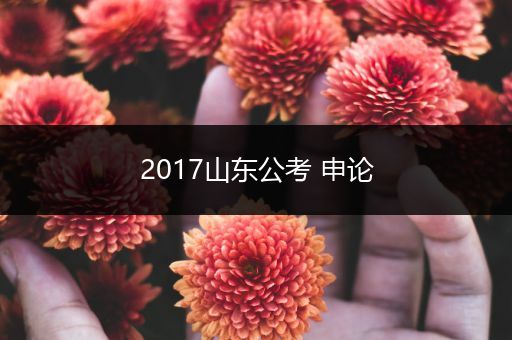 2017山东公考 申论