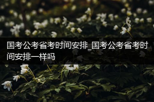 国考公考省考时间安排_国考公考省考时间安排一样吗