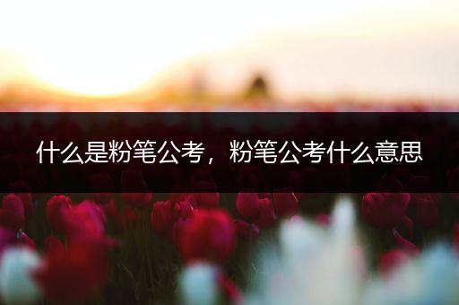 什么是粉笔公考，粉笔公考什么意思
