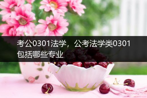 考公0301法学，公考法学类0301包括哪些专业