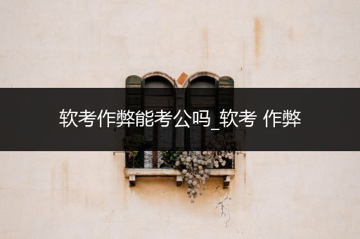 软考作弊能考公吗_软考 作弊