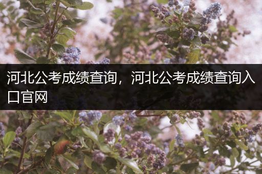 河北公考成绩查询，河北公考成绩查询入口官网