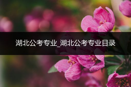 湖北公考专业_湖北公考专业目录