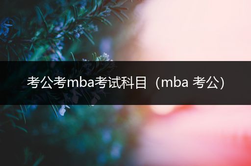 考公考mba考试科目（mba 考公）