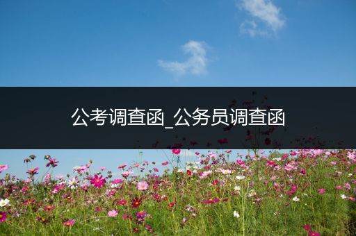公考调查函_公务员调查函