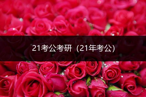 21考公考研（21年考公）