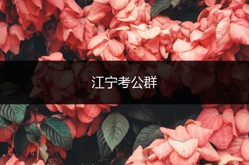 江宁考公群