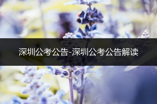 深圳公考公告-深圳公考公告解读