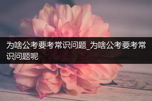 为啥公考要考常识问题_为啥公考要考常识问题呢