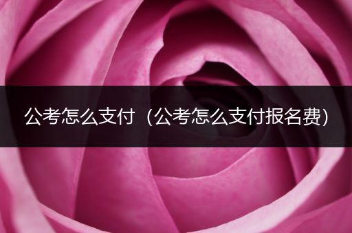 公考怎么支付（公考怎么支付报名费）
