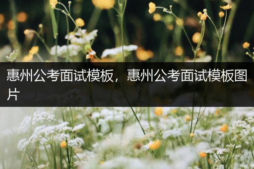 惠州公考面试模板，惠州公考面试模板图片