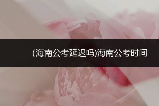 （海南公考延迟吗)海南公考时间