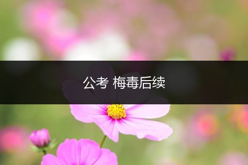 公考 梅毒后续