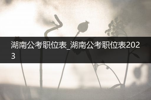 湖南公考职位表_湖南公考职位表2023