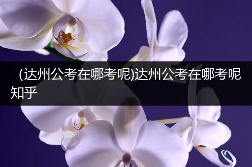 （达州公考在哪考呢)达州公考在哪考呢知乎