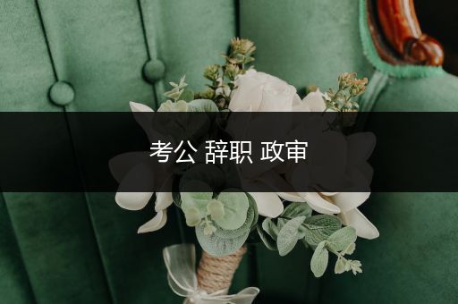 考公 辞职 政审