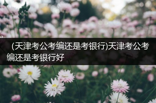 （天津考公考编还是考银行)天津考公考编还是考银行好