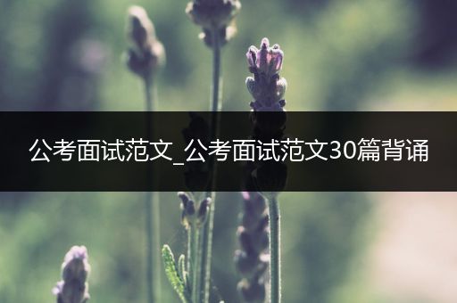 公考面试范文_公考面试范文30篇背诵