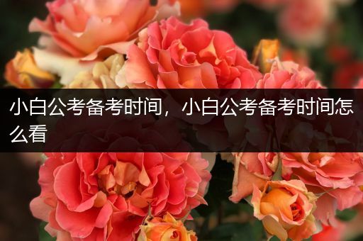 小白公考备考时间，小白公考备考时间怎么看