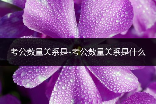 考公数量关系是-考公数量关系是什么