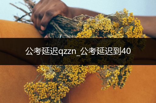 公考延迟qzzn_公考延迟到40