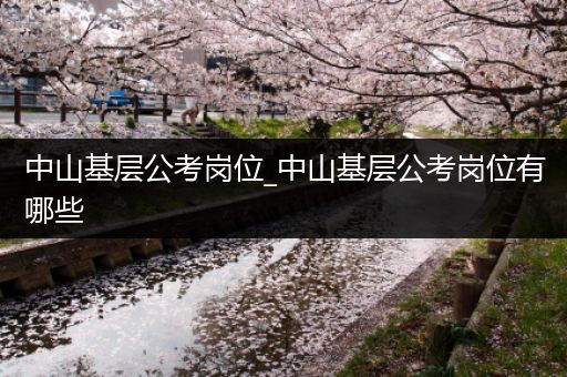 中山基层公考岗位_中山基层公考岗位有哪些