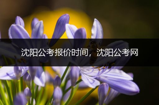 沈阳公考报价时间，沈阳公考网