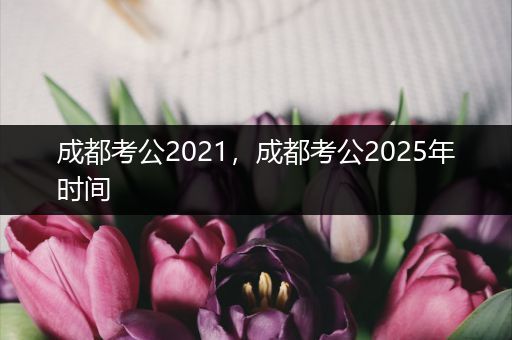 成都考公2021，成都考公2025年时间