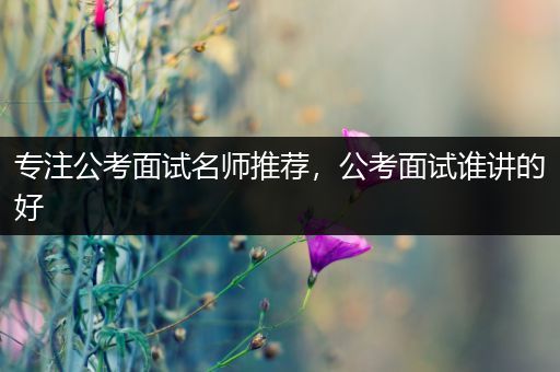 专注公考面试名师推荐，公考面试谁讲的好